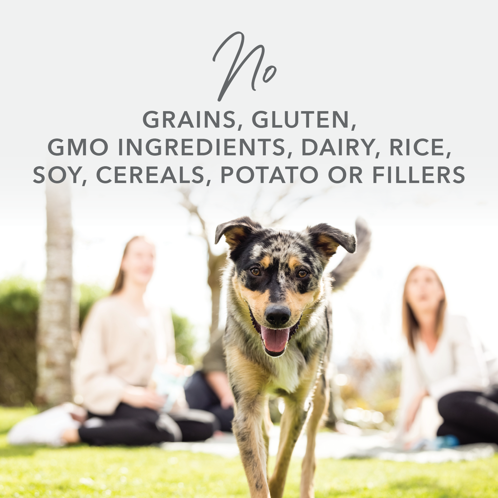 K9 Natural Grain-Free Freeze-Dried Dog Food Beef 500g
