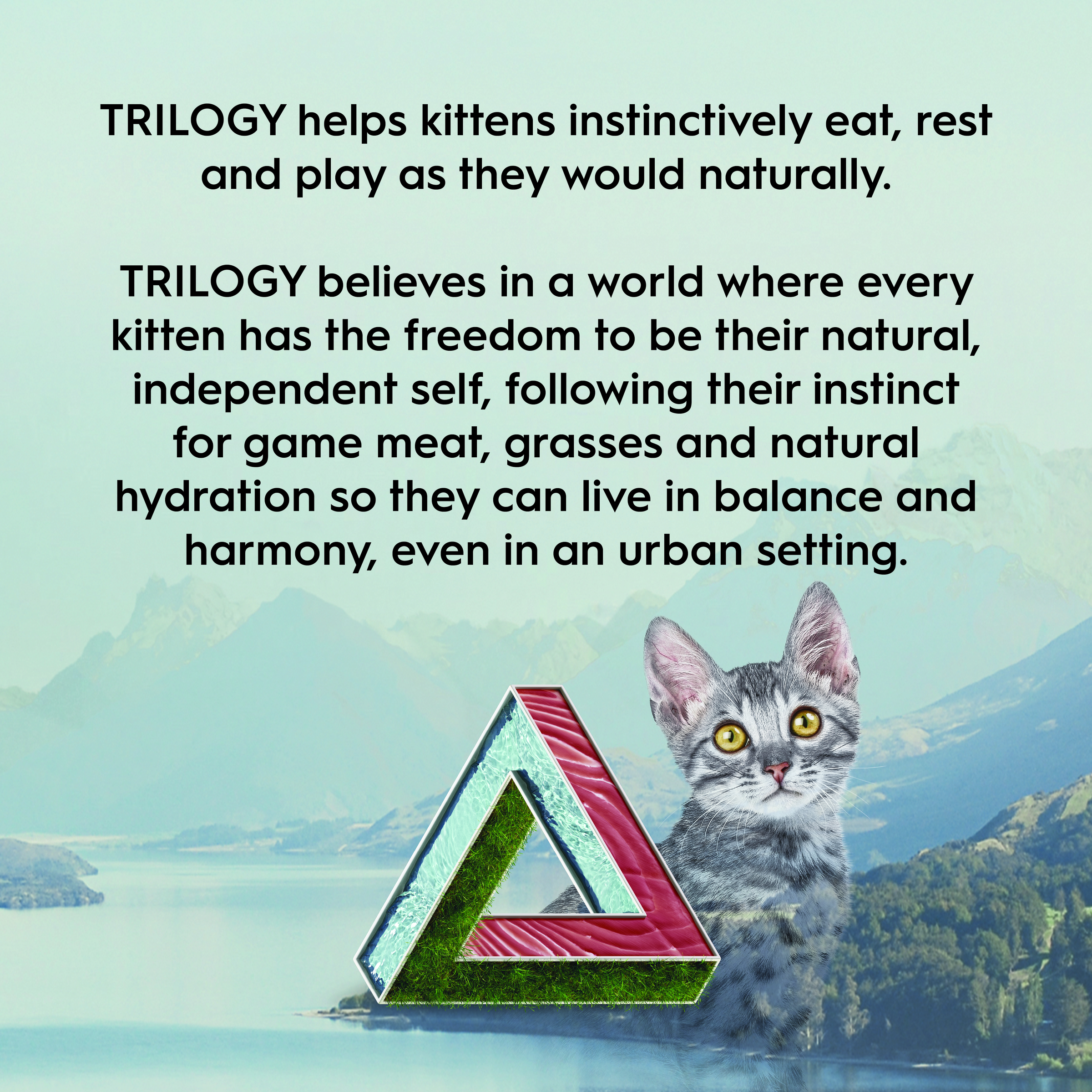 Trilogy Kitten Wet Tuna in Bone Broth 85g(12 cans)