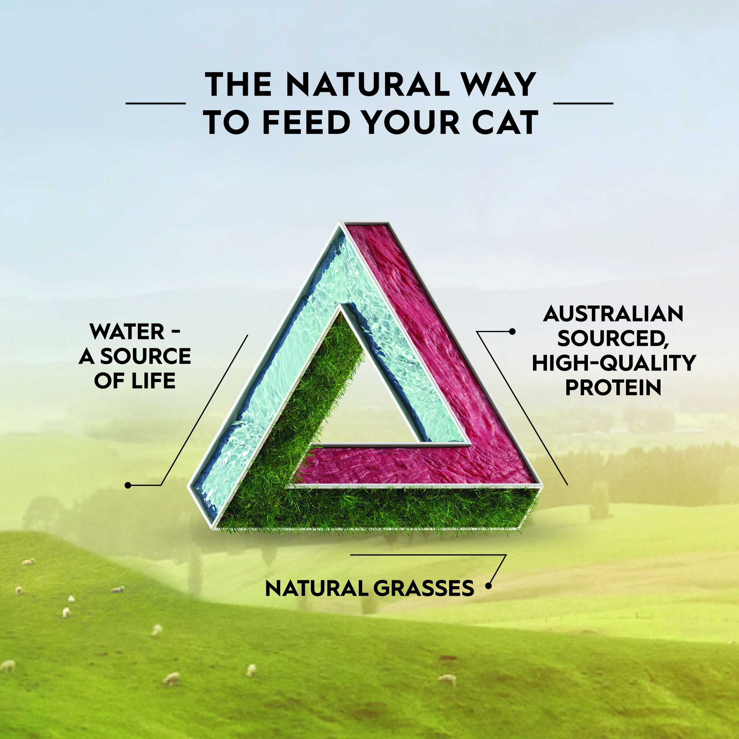 Trilogy GF Dry Adult Cat - Kangaroo 1.8kg