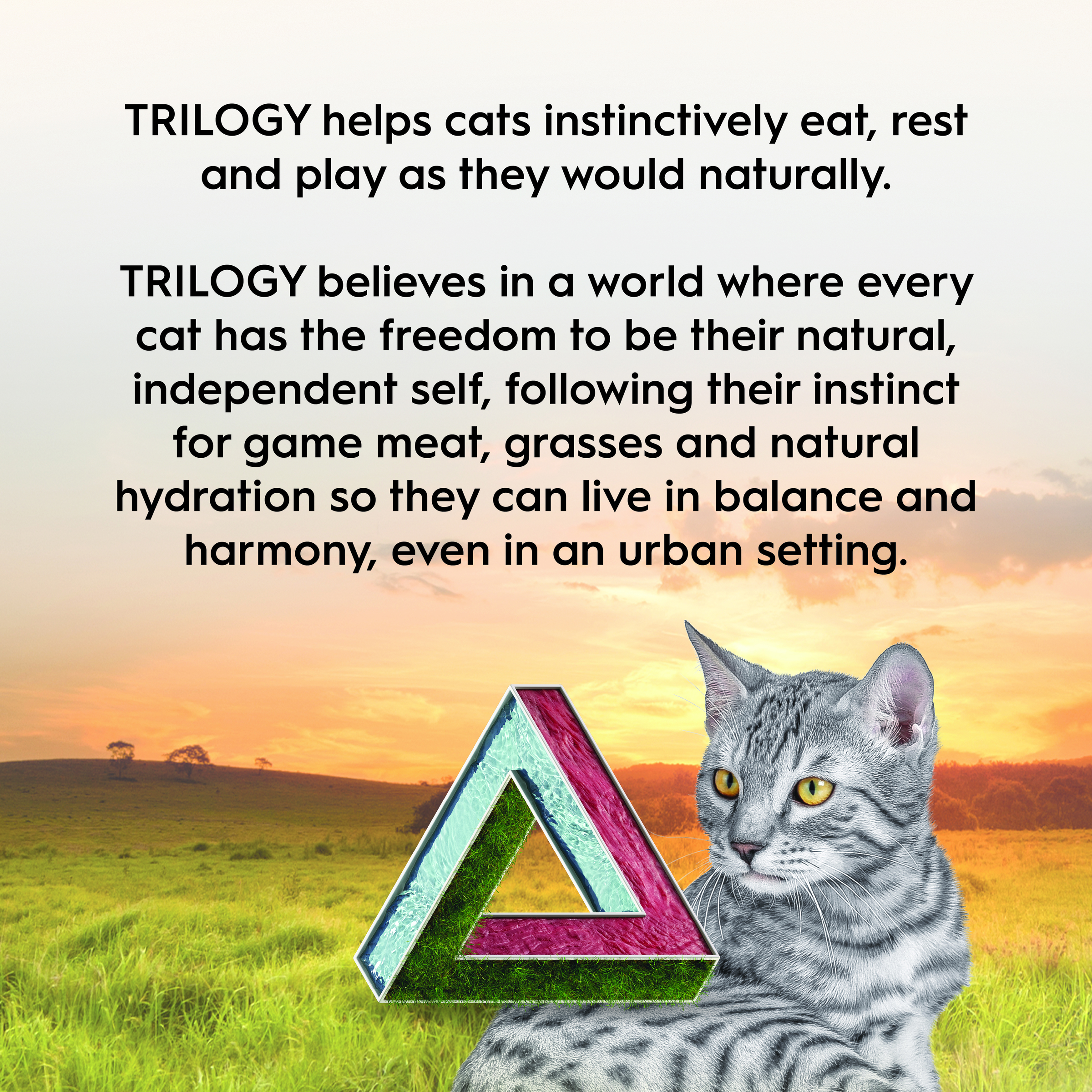 Trilogy GF Dry Adult Cat - Kangaroo 1.8kg