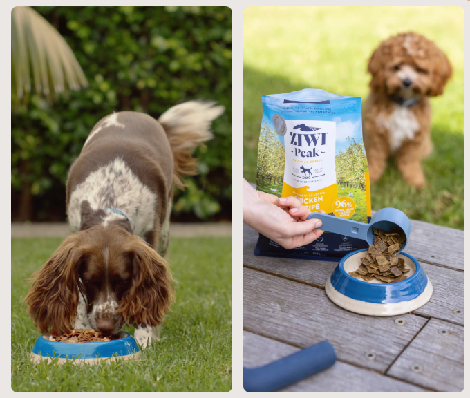 Ziwi Peak Air-Dried Recipe For Dogs Beef 4kg