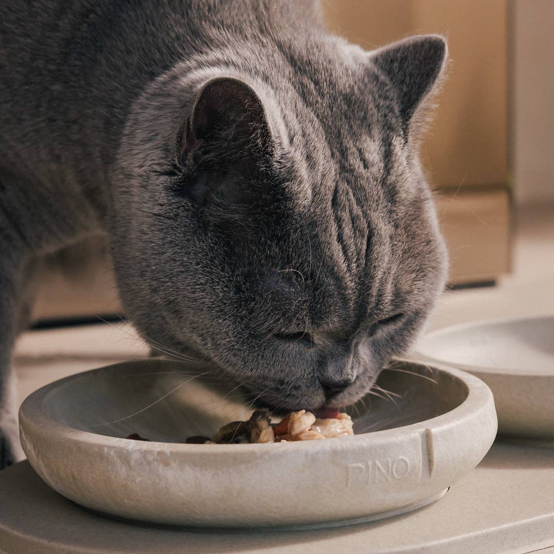 PINO Pets Whisker Friendly Bowl - Marble