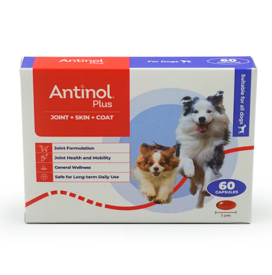 Antinol® Plus For Dogs 60 Capsules