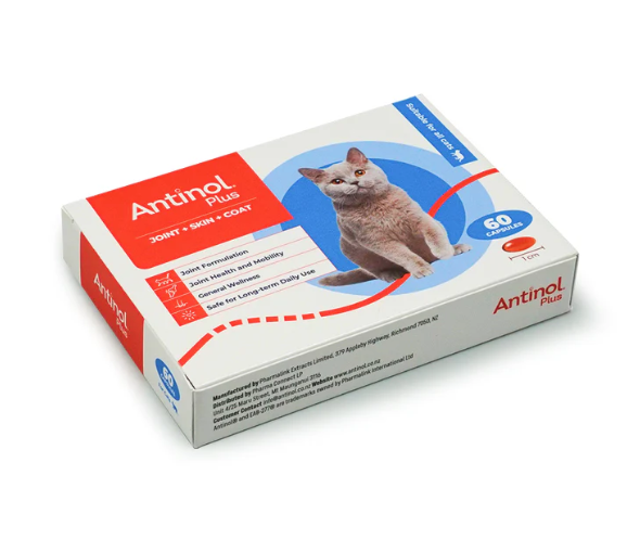 Antinol® Plus For Cats 60 Capsules