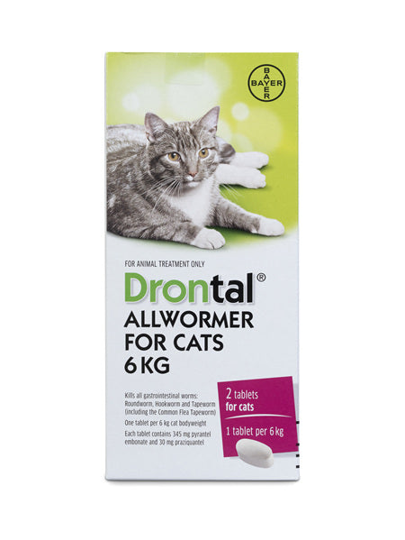 Drontal Allwormer treatment for Cat Ellipsoid 6kg - 2tab